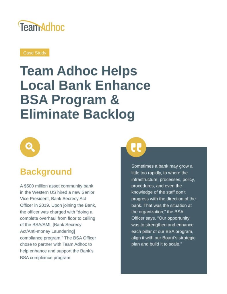Team Adhoc Case Study - Consulting & Advisory Services